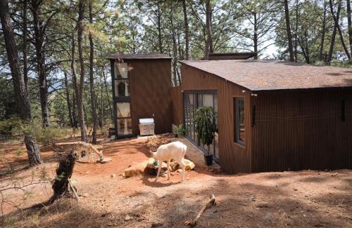 Atemajac de Brizuela Ski Chalet | Cabaña Arroyo de los Venados