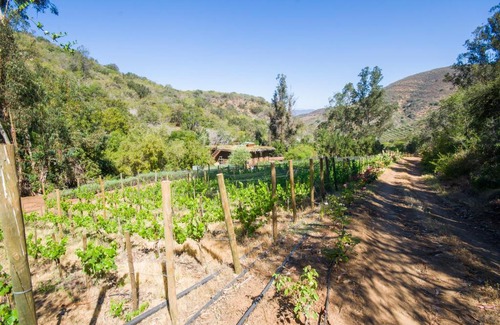 Quillota Bed & Breakfast | cabaña con tinaja en viña narbona wines