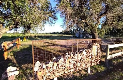 Cuadro Nacional Ski Chalet | Cabaña de campo La Tabanerina