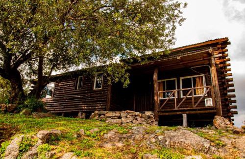 Nono Ski Chalet | Cabaña de Troncos en la montaña