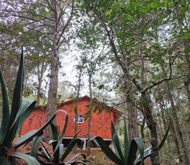 San Jose del Pacifico Apartment | Cabaña en el Rancho