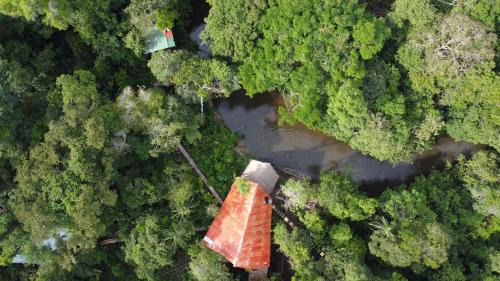 Leticia Apartment | Cabaña en el arbol del Tacana