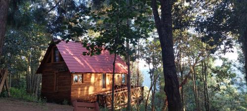 San Jose del Pacifico Ski Chalet | Cabaña en el Bosque de San José del Pacífico 4
