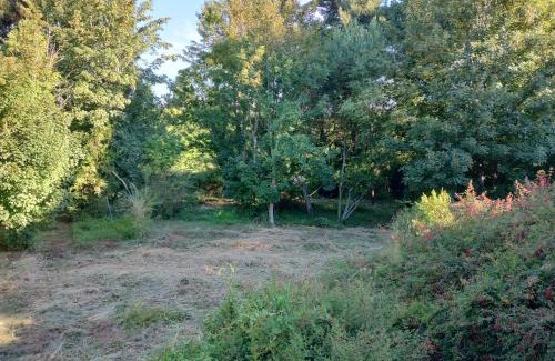 Valdivia House | Cabaña en parcela a 5 minutos de Valdivia