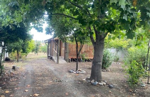 Nuble Region House | Cabaña en Quinchamalí