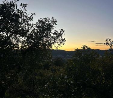 La Ceja Other | Cabaña entre los árboles del bosque de Efímero la Ceja