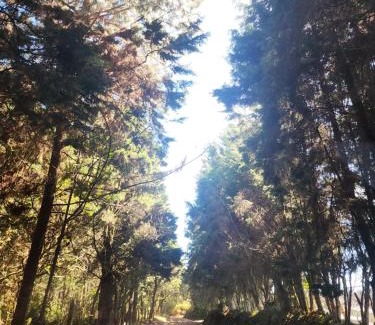 Medellin Other | Cabaña LA MORADA