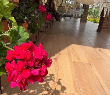 Ocana House | Cabaña La Sanguina 4 Pax