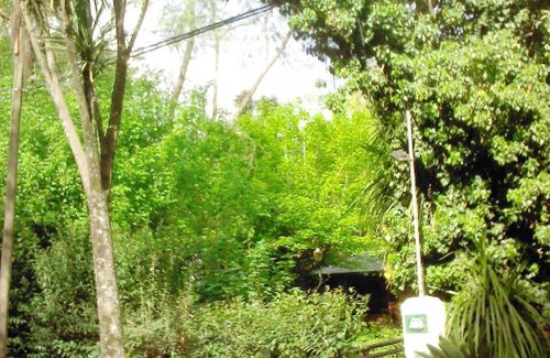 Tandil Cabin | Cabaña La Strega