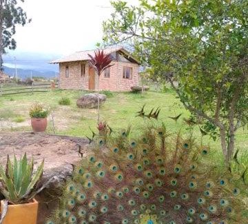 Villa de Leyva Apartment | Cabaña lagovilla