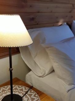 Dina Huapi House | Cabaña Los Alamos