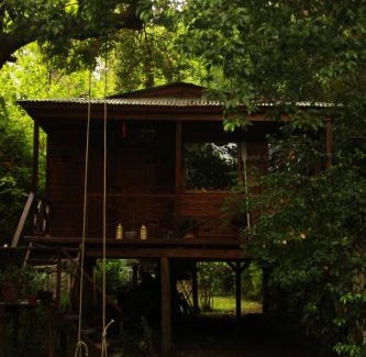 Partido de Tigre Cabin | Cabaña Los Alcanfores