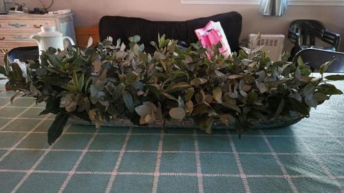 Rio Ceballos House | CABAÑA MI PAZZ camino al cuadrado