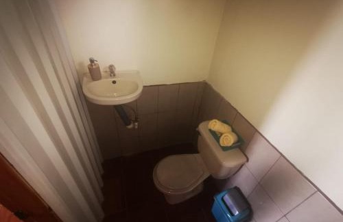 Aguas Zarcas Apartment | Cabaña Mono Cariblanco