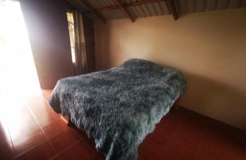 Aguas Zarcas Apartment | Cabaña Mono Cariblanco