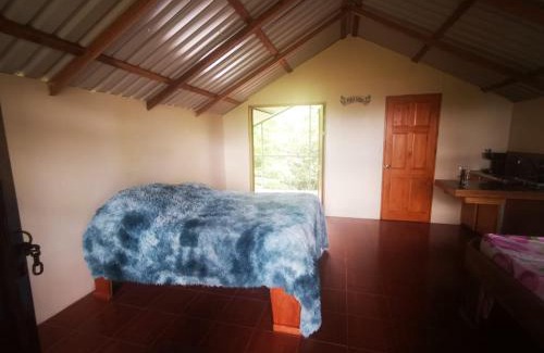 Aguas Zarcas Apartment | Cabaña Mono Cariblanco