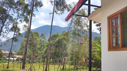 Oxapampa Cabin | Cabaña Monte Santo