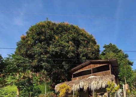 Necocli House | Cabaña Murringo a dos minutos en coche de Necobotes en Necoclí