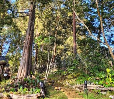 Guarne Other | Cabaña Onix - La Pascana Ecolodge