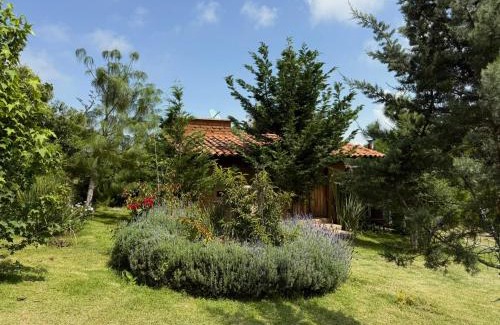 Tapalpa House | Cabaña Puma Tapalpa
