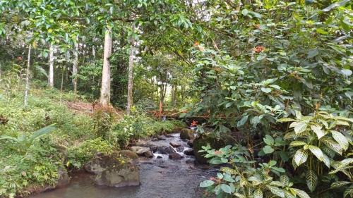 Katira Cabin | Cabaña Rústica la Paz de Río Celeste
