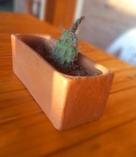 San Lorenzo House | Cabaña Rincón de Afrodita