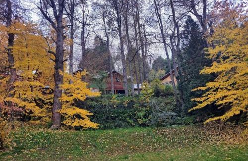 San Martin de los Andes House | Cabaña rodeada de bosque nativo para 12 c parrilla