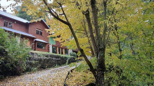 San Martin de los Andes House | Cabaña rodeada de bosque nativo para 12 c parrilla