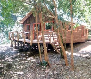 Panguipulli Ski Chalet | Cabaña Rustica Patagonia Chilena