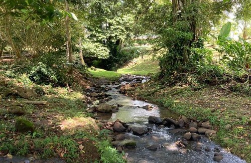 Fraijanes Apartment | Cabaña San Benito