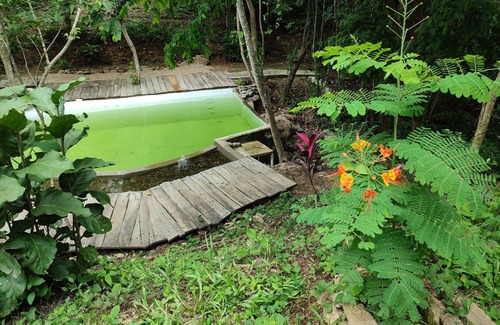 Santa Maria Huatulco Cabin | Cabaña Tabachín - Su conexión con la Naturaleza