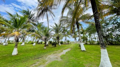 Monitos House | Cabaña Villa Palmaral