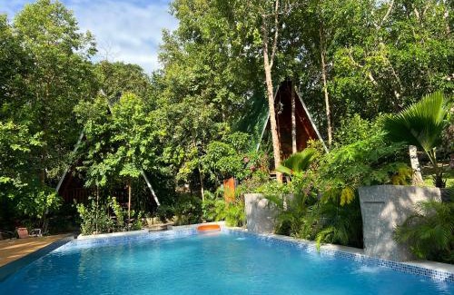 Juan Guerra Cabin | Cabañas Alpinas-El Trapiche-Tarapoto