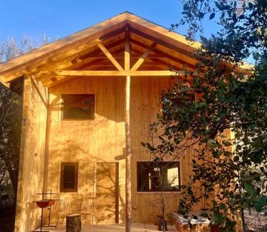 Pinto Ski Chalet | Cabañas Bosque las Trancas