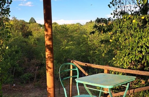 Coronel Pringles Department House | cabañas El Milagrito