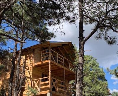 Creel House | Cabañas el Pino 3
