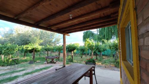 Albardon House | Cabañas El Sauce