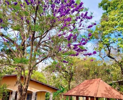 El Valle de Anton House | Cabañas El Valle