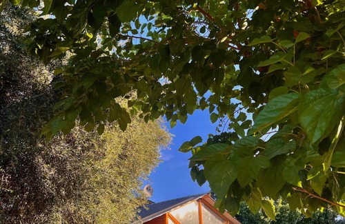 Bajo Lunlunta Cottage | Cabañas en Mendoza Maipú rodeado de naturaleza. Cabañas Renacer Lunlunta