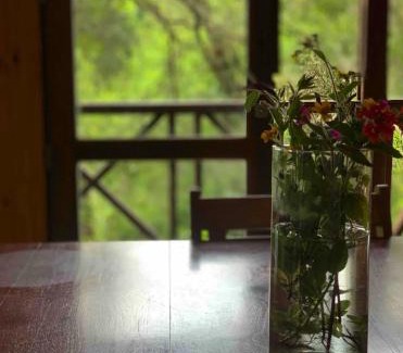 Santa Ana Other | Cabañas en Reserva Privada Bahía Santa Ana