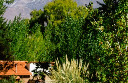 Uspallata Cabin | Cabañas en Uspallata, Mendoza! Naturaleza, Calma y Confort, a Pasos de Todo!