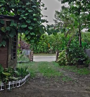 Villa Gesell Cabin | Cabañas Gesell