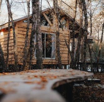 Pinto Ski Chalet | Cabañas Huilipan