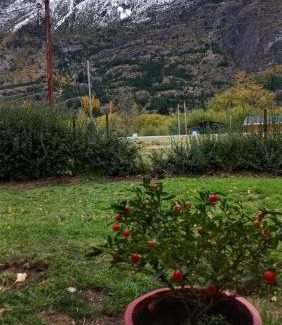 Hoyo de Epuyen Apartment | Cabañas Mi Viejo