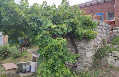 Valle Hermoso Apartment | Cabañas Olluhuasi