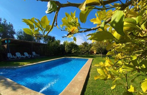 Olmue House | Cabañas SPA Olmue