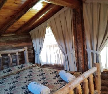 Tunuyan Ski Chalet | Cabañas Walwalün