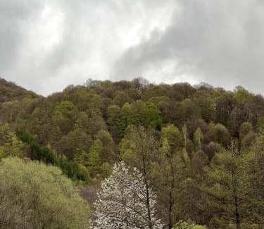 Petrila Ski Chalet | Cabană la poalele munților cu ciubăr