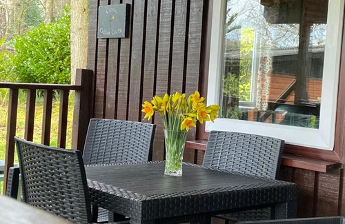 Cenarth House | Caban Coetir