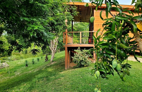 San Ignacio Cabin | Cabana 4 -Modern amenities cabin, on the banks of the Belize River